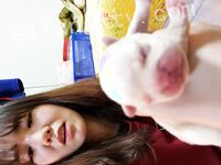 我和愛養泰迪的女友那些風流事 分手後的性生活泄露 內射流精 完美露臉 高清