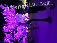 我和愛養泰迪的女友那些風流事 分手後的性生活泄露 內射流精 完美露臉 高清