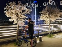 我和愛養泰迪的女友那些風流事 分手後的性生活泄露 內射流精 完美露臉 高清