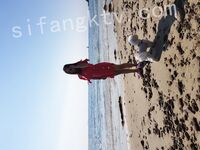 我和愛養泰迪的女友那些風流事 分手後的性生活泄露 內射流精 完美露臉 高清