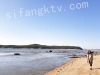 我和愛養泰迪的女友那些風流事 分手後的性生活泄露 內射流精 完美露臉 高清