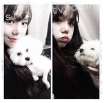 我和愛養泰迪的女友那些風流事 分手後的性生活泄露 內射流精 完美露臉 高清