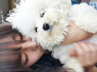 我和愛養泰迪的女友那些風流事 分手後的性生活泄露 內射流精 完美露臉 高清