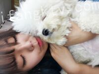 我和愛養泰迪的女友那些風流事 分手後的性生活泄露 內射流精 完美露臉 高清