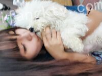 我和愛養泰迪的女友那些風流事 分手後的性生活泄露 內射流精 完美露臉 高清