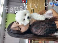 我和愛養泰迪的女友那些風流事 分手後的性生活泄露 內射流精 完美露臉 高清