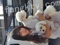 我和愛養泰迪的女友那些風流事 分手後的性生活泄露 內射流精 完美露臉 高清