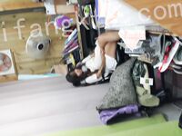 我和愛養泰迪的女友那些風流事 分手後的性生活泄露 內射流精 完美露臉 高清