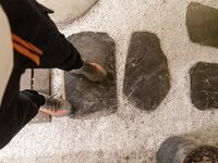 被封已退圈！推特幾十萬粉攝影大咖LeoChen絕頂作品，各種露臉美模小姐姐極限露出調教張張精品