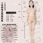 青春無敵 長江後浪推前浪 推特私密圈收集各大網紅小姐姐抖音風變裝BGM裸舞風格奇葩另類