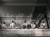 出山就封神！推特超強SM大神【奴印文化】五位御用極品反差女奴推特勁爆調教原版無水印肆雨-siyukule