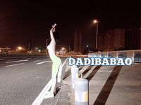 抖音80W粉絲推特網紅超萌蘿莉反差婊一隻喔私拍視圖大量流出人前露出3P喝尿野戰騷中極品