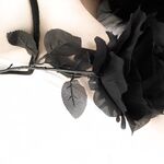 推特巨乳網紅『芙烈亞』大尺度露出私拍 各種場所露出 商場街道 全裸爬樓道