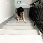 推特巨乳網紅『芙烈亞』大尺度露出私拍 各種場所露出 商場街道 全裸爬樓道