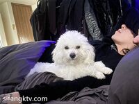 男神KINGMASTER和他的小母狗，調教得太好了 隨時隨地拉過來就干 很聽話，小母狗露臉了 很正點 屁股很翹 還很粉