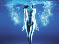 超人氣大神『王動』2022最新重磅私拍 全新嫩模 全裸出鏡 情色藝術完美結合 高清