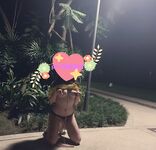 推特獵奇圈福利視圖重磅來襲第八季【公共場所露出戶外啪啪啪各種極限淫亂行為挑戰】