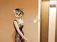 推特獵奇圈福利視圖重磅來襲第八季【公共場所露出戶外啪啪啪各種極限淫亂行為挑戰】