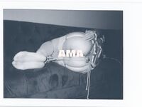 走另類情色唯美路線的攝影大咖AMA女體藝術私拍各種露臉極品反差美模觀感另一種滋味