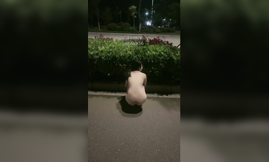 極品推特淫盪人妻性玩物▌林淑怡▌全裸壓馬路尋刺激 男公廁全裸待插後入懟穴 (7)