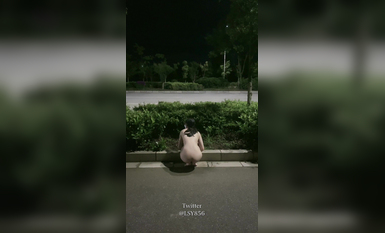 極品推特淫盪人妻性玩物▌林淑怡▌全裸壓馬路尋刺激 男公廁全裸待插後入懟穴 (6)